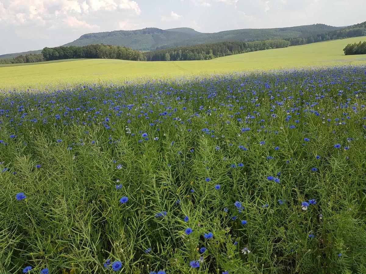 Ferienwohnungen Hering Kleingiesshubel ภายนอก รูปภาพ